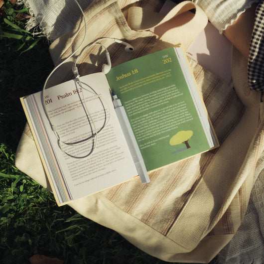 A Beautiful Year with Jesus: The 365 Day Bible Devotional